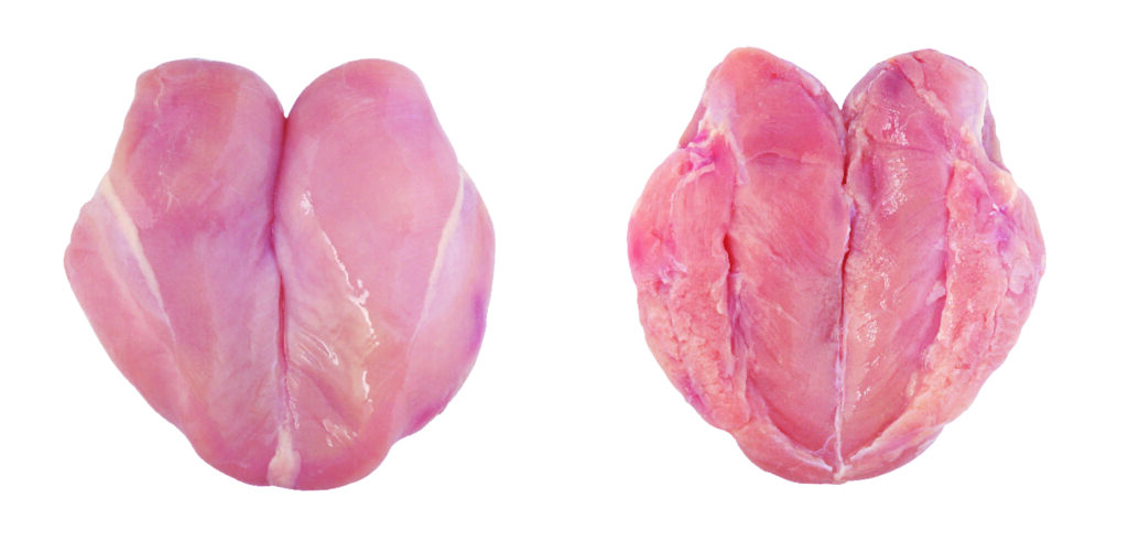 Whole Breast Boneless Skinless WITHOUT Innerfillet